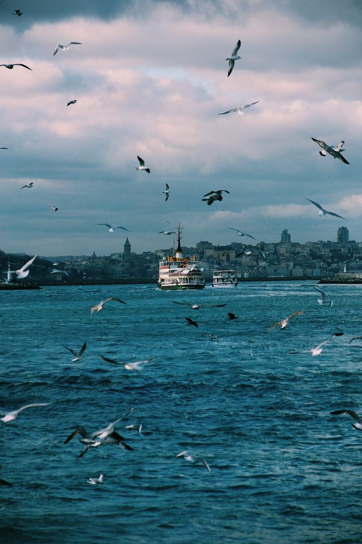 blue dream (@bluedreamvibes) on Twitter photo 