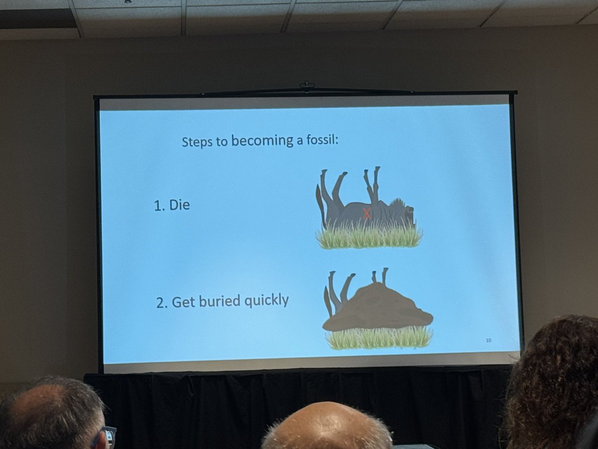 BrianaPobiner's tweet image. Hands down, Kate Fish from @gwCASHP wins the best slide at the Paleoanthros conference today. 😂☠️