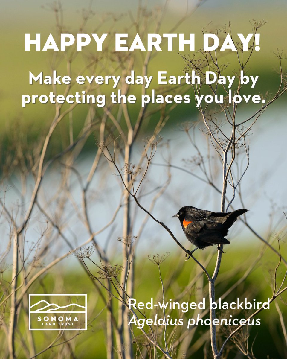 Make every day Earth Day by protecting the places you love. Conservation isn't just about setting aside land–it's about recognizing that healthy landscapes are our most powerful allies in finding nature-based solutions, protecting wildlife, and building climate resilience.