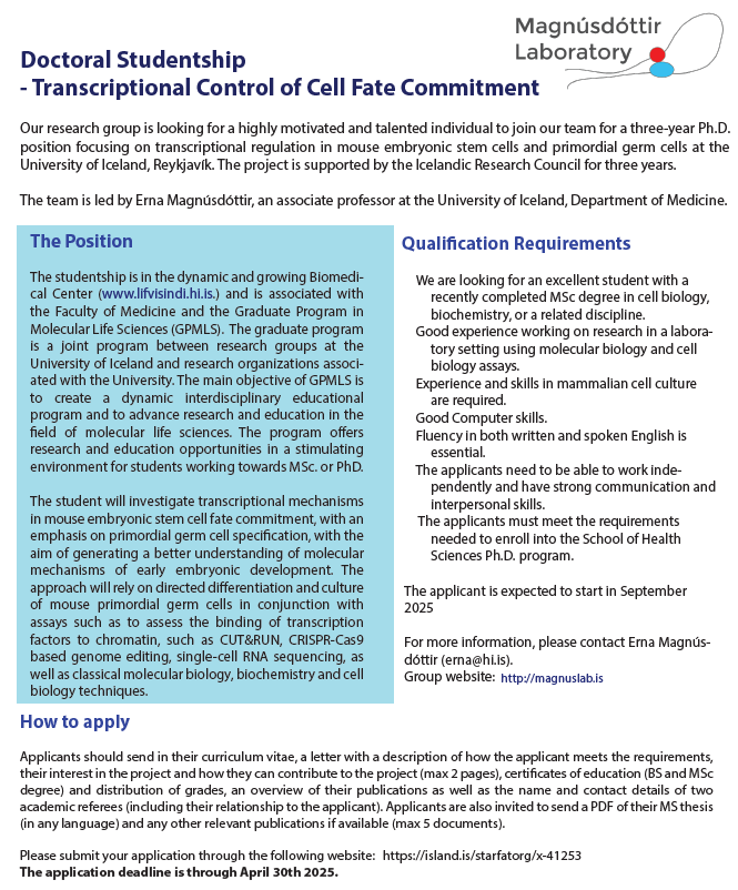 magnuslab's tweet image. Join our lab to study transcriptional regulation in mouse germ cells and embryonic stem cells at the University of Iceland in beautiful Reykjavík! Apply here: tinyurl.com/34y6jcrd #epigenetics #TranscriptionFactors #transcriptomics #stemCells #pluripotency