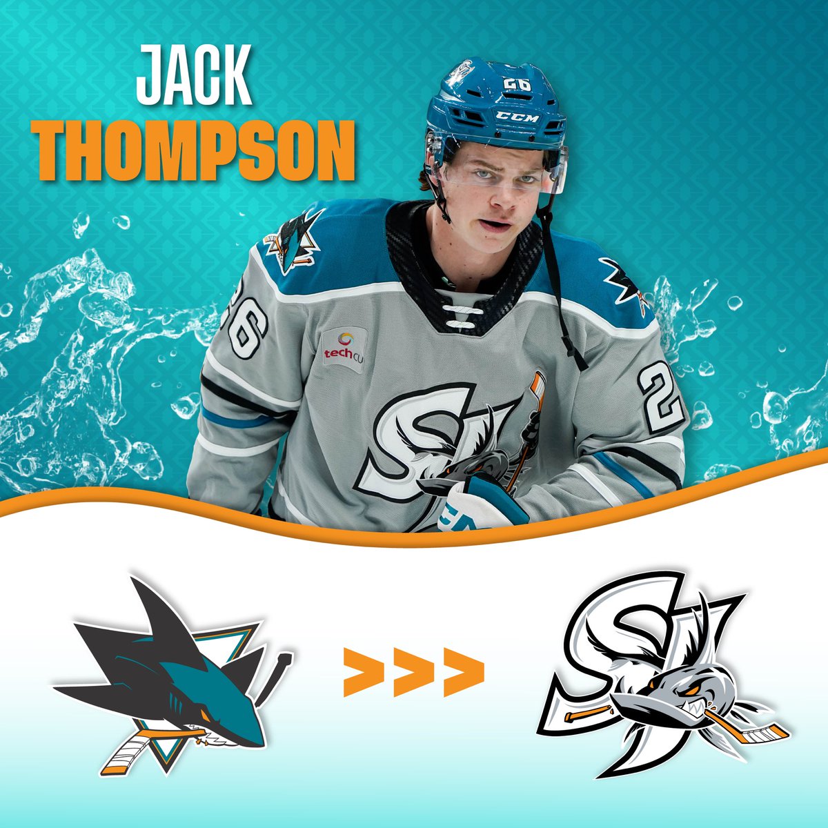 x - SJ Barracuda (@sjbarracuda) on Twitter photo The <a href="/SanJoseSharks/">San Jose Sharks</a> have assigned F Zack Ostapchuk and D Jack Thompson to the #SJBarracuda The <a href="/SanJoseSharks/">San Jose Sharks</a> have assigned F Zack Ostapchuk and D Jack Thompson to the #SJBarracuda
