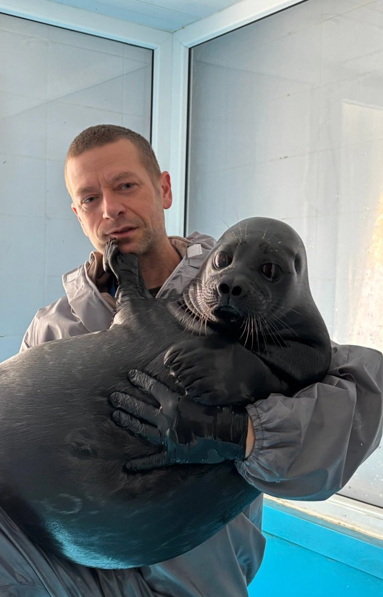 a man and his seal