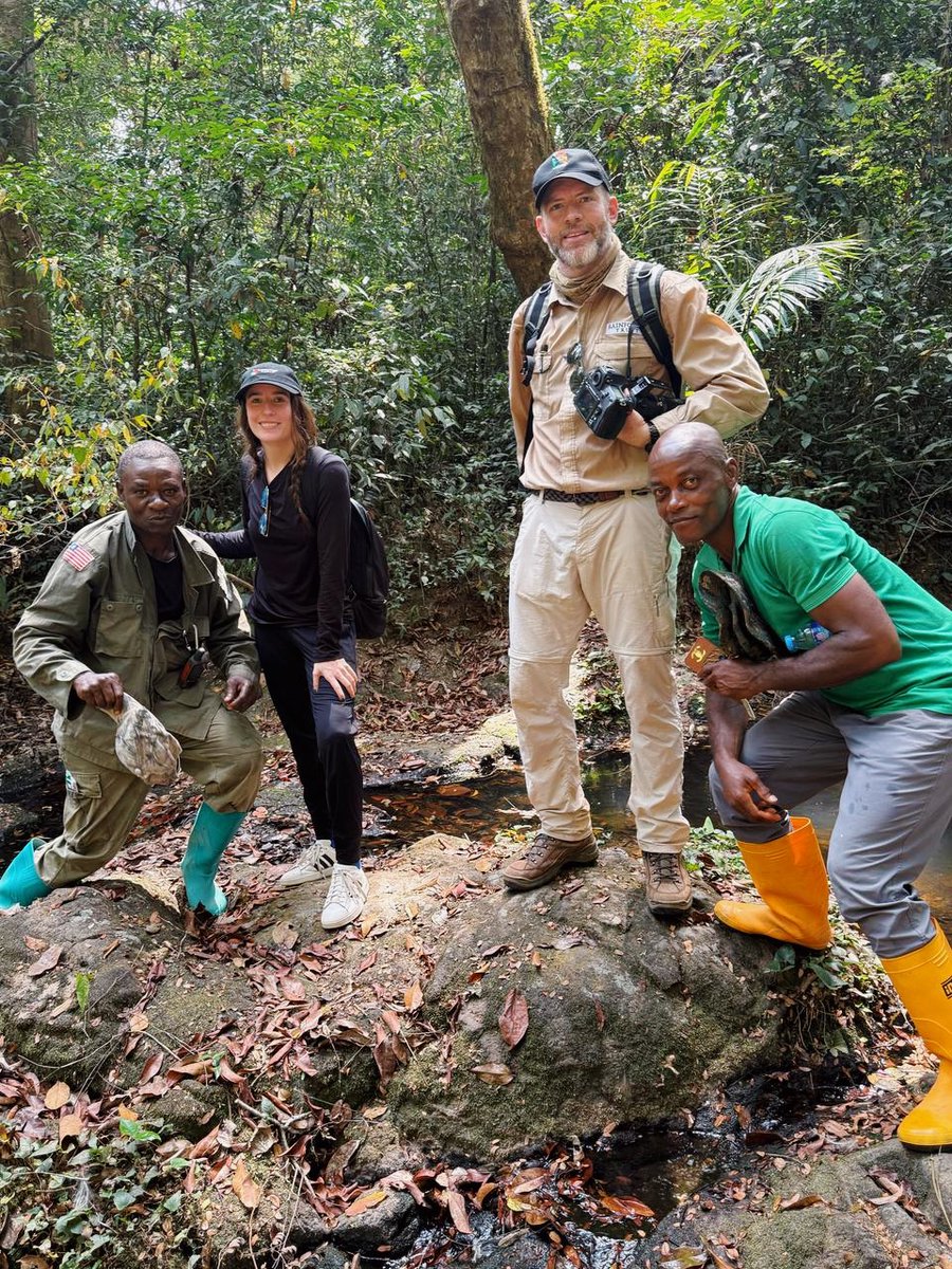 ClarisOfficial's tweet image. 2/ This is @RainforestTrust, a global leader in conservation, using #ClarisFileMaker to track progress and create global change.

The last 10 years, they&apos;ve scaled their mission across continents.
🌎 55M+ acres protected
🌎 99% forest retained
🌎 Billions of tons of carbon stored