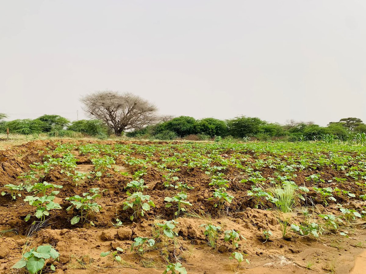 ‼️ Prochaine visite terrain, nous allons visiter une ferme à saint Louis. 

Pour les entrepreneurs, étudiants dans le domaine agricole.

Abonnez vous et activez la cloche.

Ñu Ñeuw wane len Nu Muy Deme