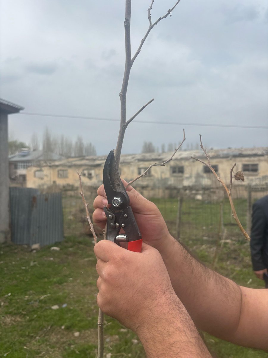 Bulanık İlçe Tarım ve Orman Müdürlüğü teknik ekiplerimizce, budama zamanının gelmesiyle birlikte çiftçilerimize budama eğitimlerine başlandı.Çiftçilerimize budama teknikleri, budama ekipmanları ve dezenfeksiyonu konularından bahsedildi. <a href="/ibrahimyumakli/">İbrahim Yumaklı</a>  <a href="/Valiavnicakir/">Avni Çakır</a> <a href="/Ncttngnc/">Necattin GÖNÇ</a>