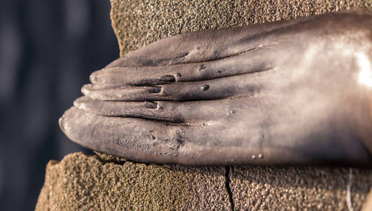 MR. BAD 14 tweet media