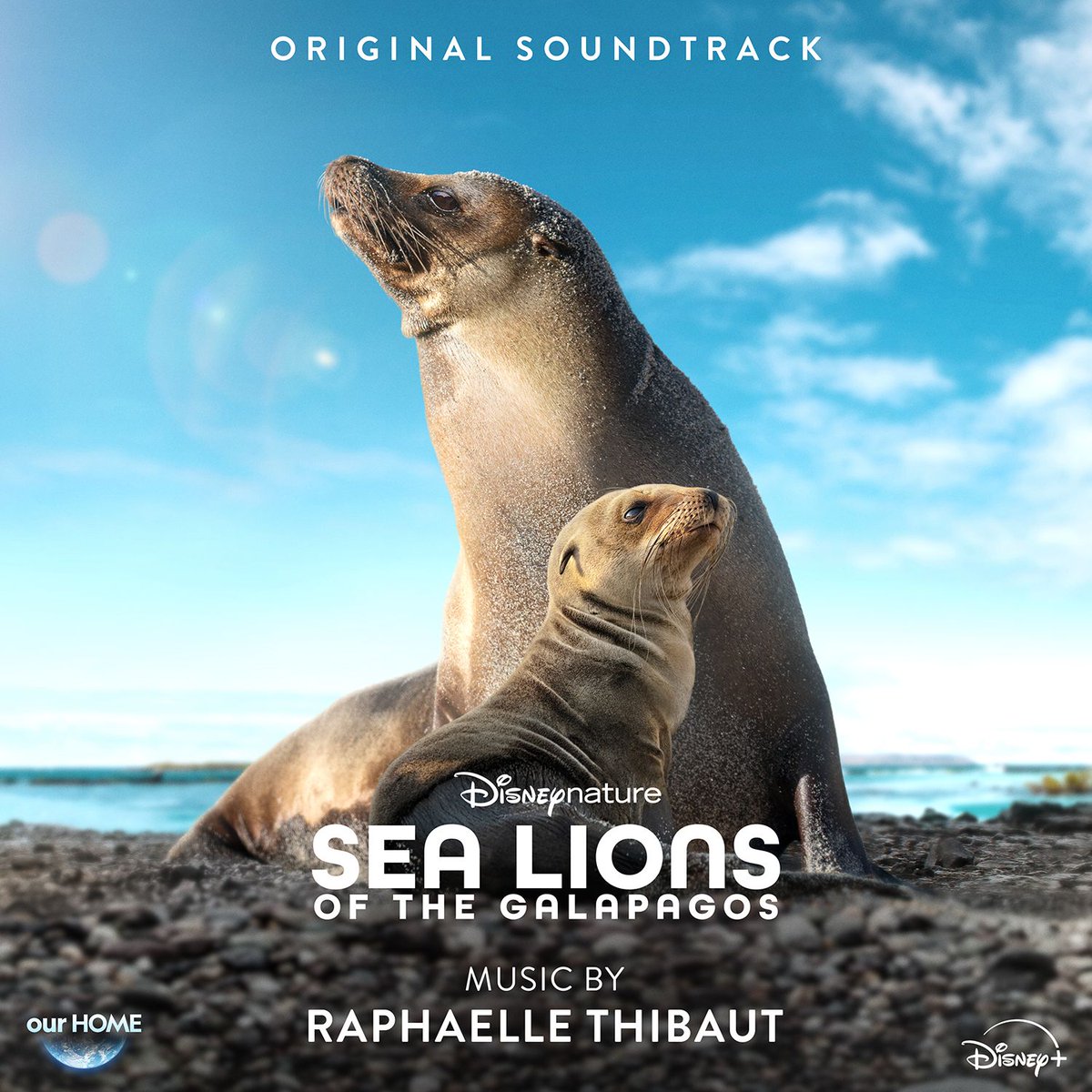 First Artists Management (@fam_agency) on Twitter photo Listen to the new soundtrack out today by <a href="/Raphae/">Raphaelle Thibaut</a> for Sea Lions of the Galápagos, now streaming on Disney+.
Raphaelle’s stunning score brings the magic and mystery of the Galápagos to life with sweeping melodies and emotional depth.
#OST #FilmScore #Composers Listen to the new soundtrack out today by <a href="/Raphae/">Raphaelle Thibaut</a> for Sea Lions of the Galápagos, now streaming on Disney+.
Raphaelle’s stunning score brings the magic and mystery of the Galápagos to life with sweeping melodies and emotional depth.
#OST #FilmScore #Composers