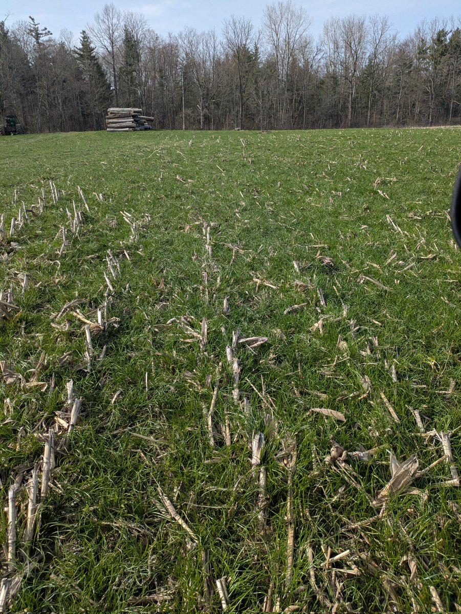 Dan Petker tweet media