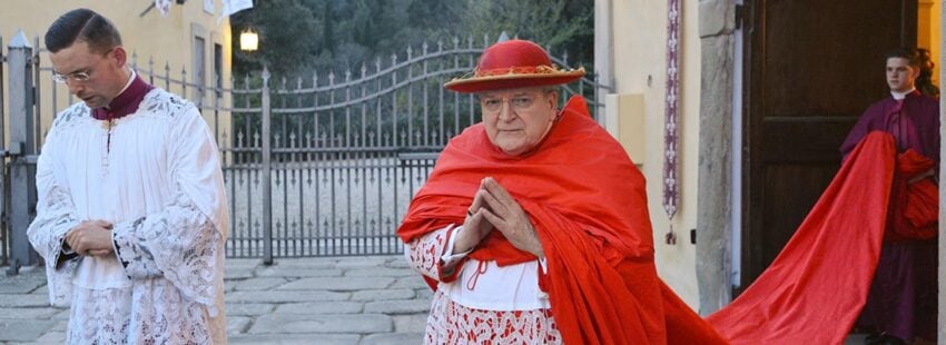 Il Cardinale Burke va in Conclave (I)

(no, nessuna di queste foto è IA, è proprio lui, qui nello splendore di 9 metri di strascico 😇)