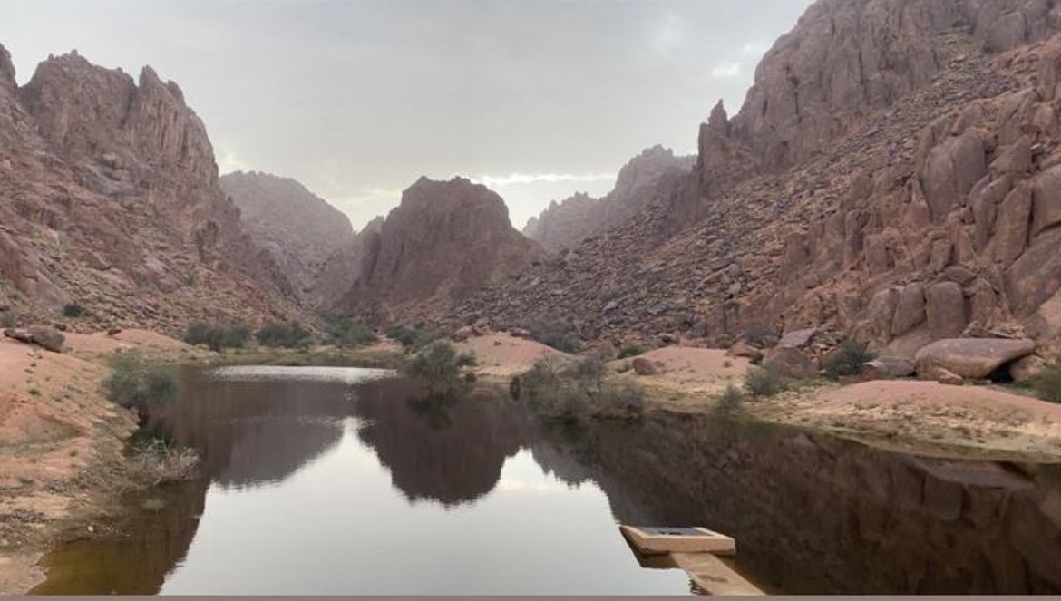 د. ماجد بن علي المطلق tweet media