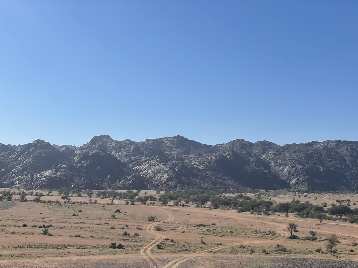 د. ماجد بن علي المطلق tweet media