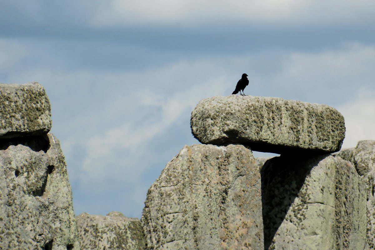 Went to Stonhenge last week, pretty special.