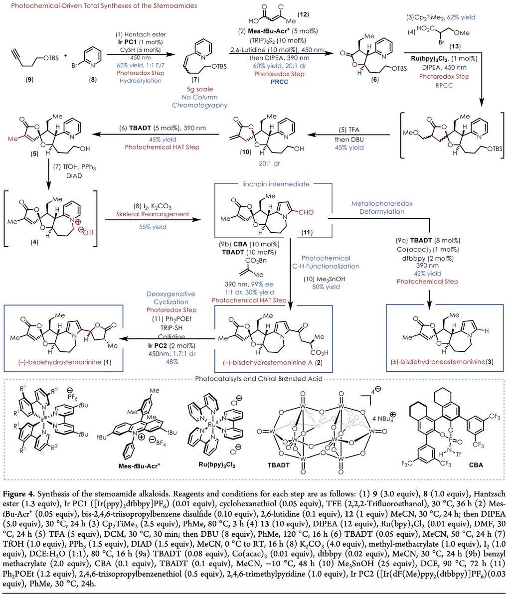 Total Synthesis tweet media