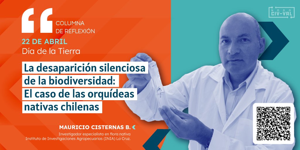[22 de abril #DíaDeLaTierra🌎]
¿Por qué es tan difícil conservar las orquídeas nativas chilenas 🌿?  Mauricio Cisternas, investigador especialista en flora nativa de <a href="/INIA_LaCruz/">INIA La Cruz</a> te lo cuenta en una nueva Columna de Reflexión nodociv-val.cl/2025/04/17/col…