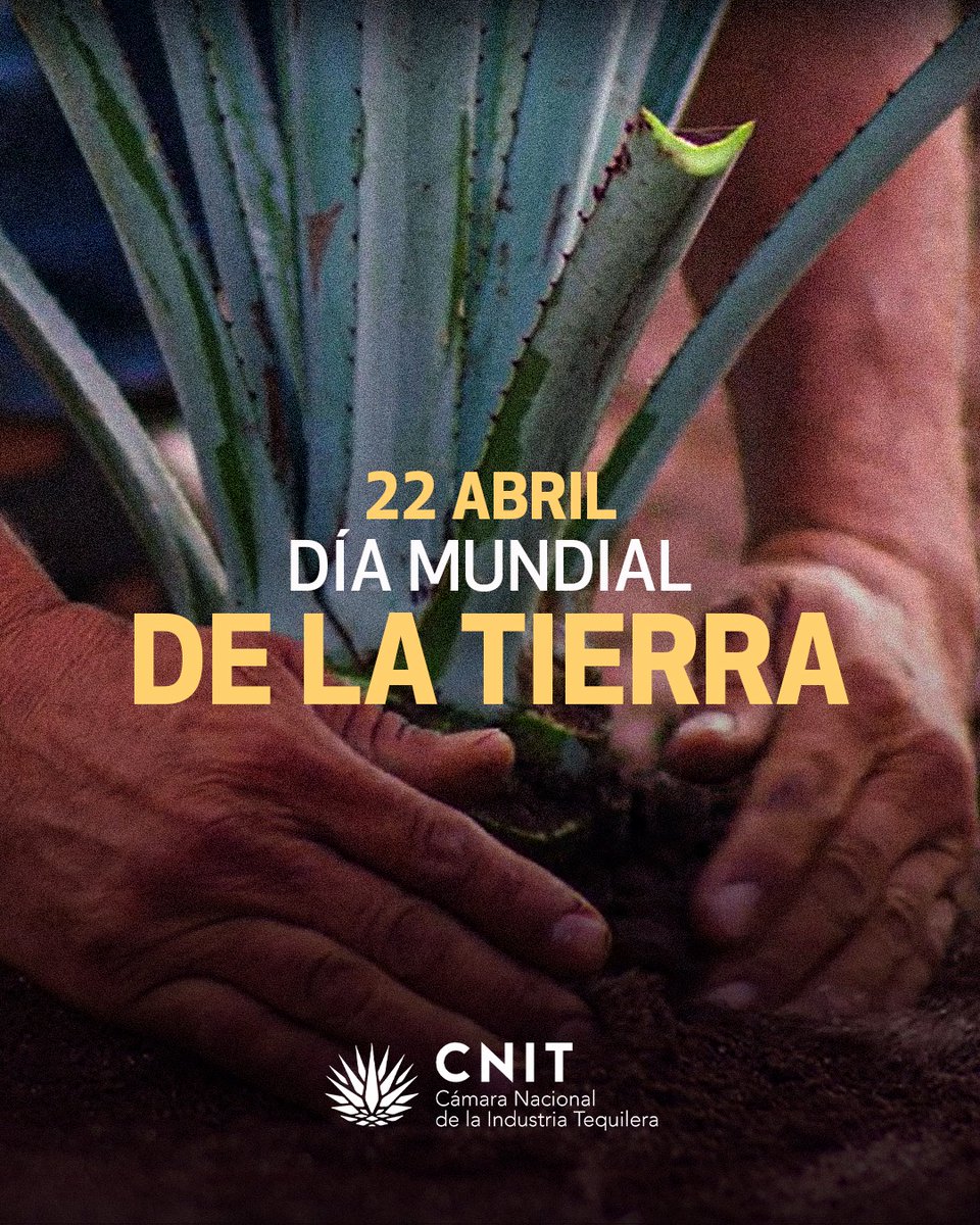 En la tierra crece el agave que da vida y cuerpo al Tequila. De la tierra las raíces que nos dan identidad.

22 de abril Día Mundial de la Tierra.