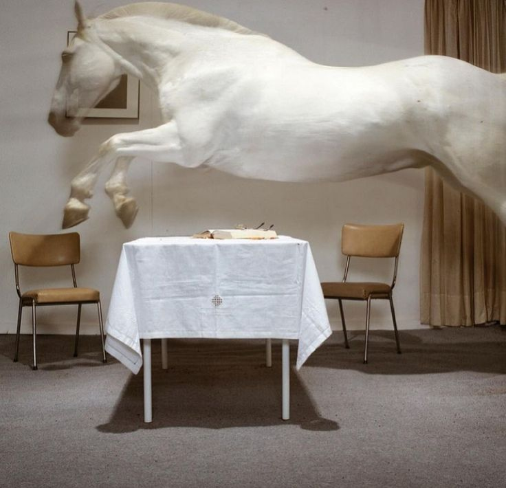 Accidentally let myself have hope