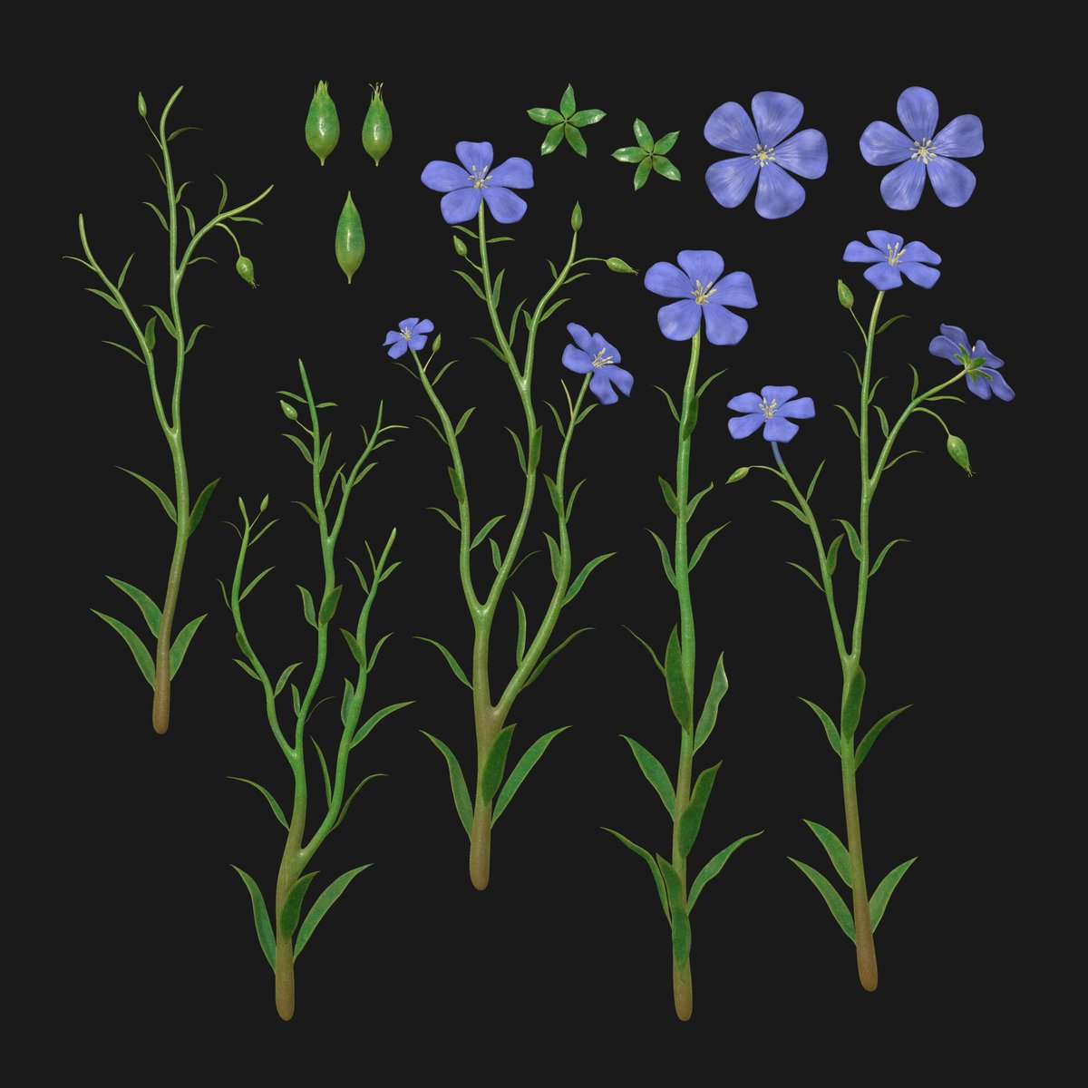 #HappyEarthDay 

Final post from this past semester's students. @ Mamdouh Famy shared his vignette from our 6 week course, Vegetation and Plants for games <a href="/CGMasterAcademy/">CG Master Academy</a> . 

Check the full post here: artstation.com/artwork/x3Kzx1

<a href="/SpeedTreeInc/">SpeedTree</a> <a href="/maxonzbrush/">Maxon ZBrush</a> <a href="/Substance3D/">Adobe Substance 3D</a>