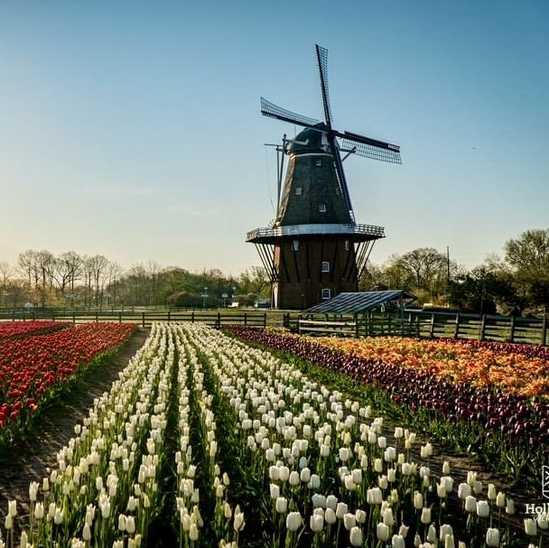 Spring in America:
Windmill island gardens, Holland Michigan