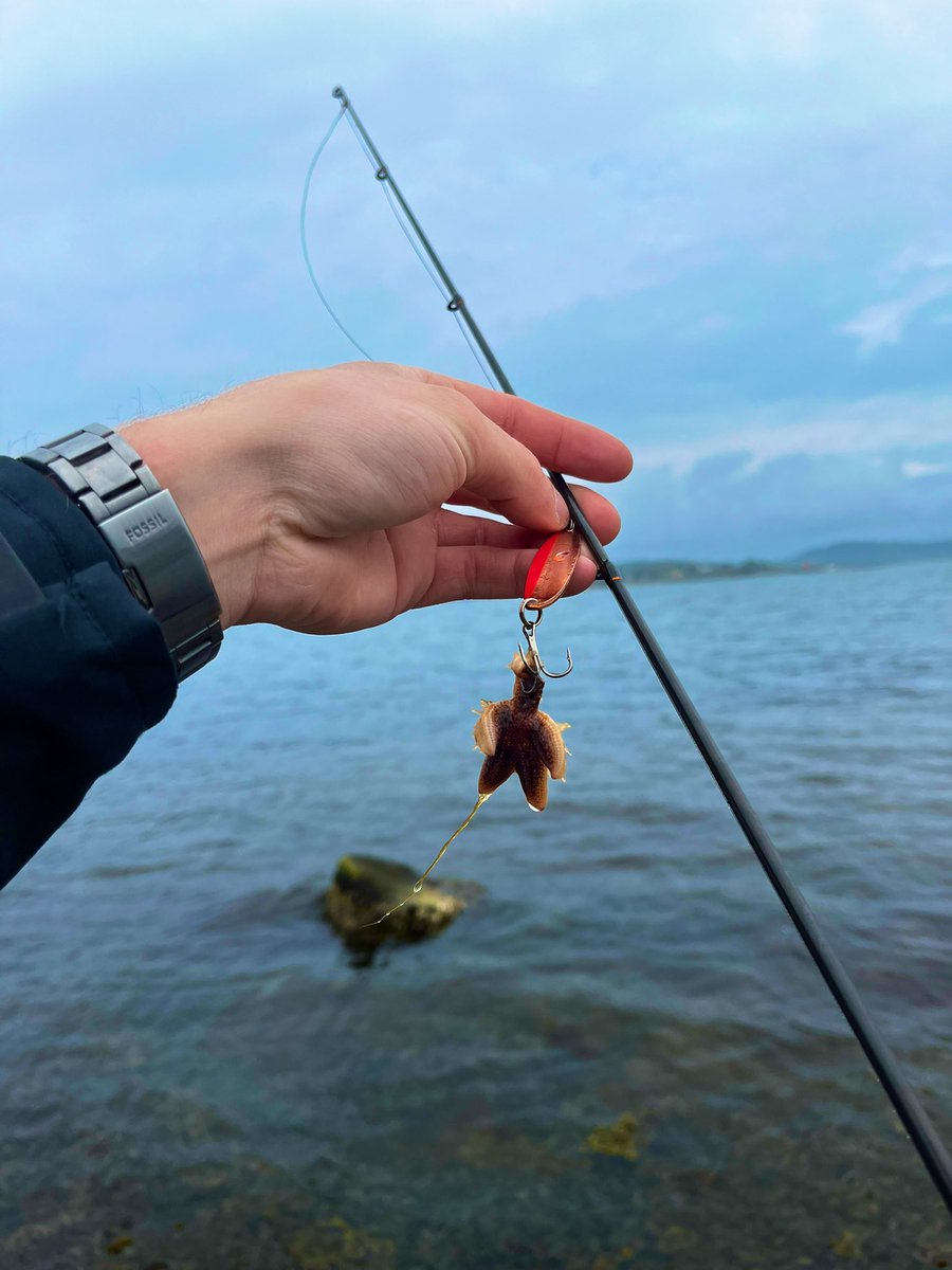 LillBagarn's tweet photo. Patrik måste ändå räknas som napp Elle?
#fiske #tomhänt https://t.co/p9RTK57Po4