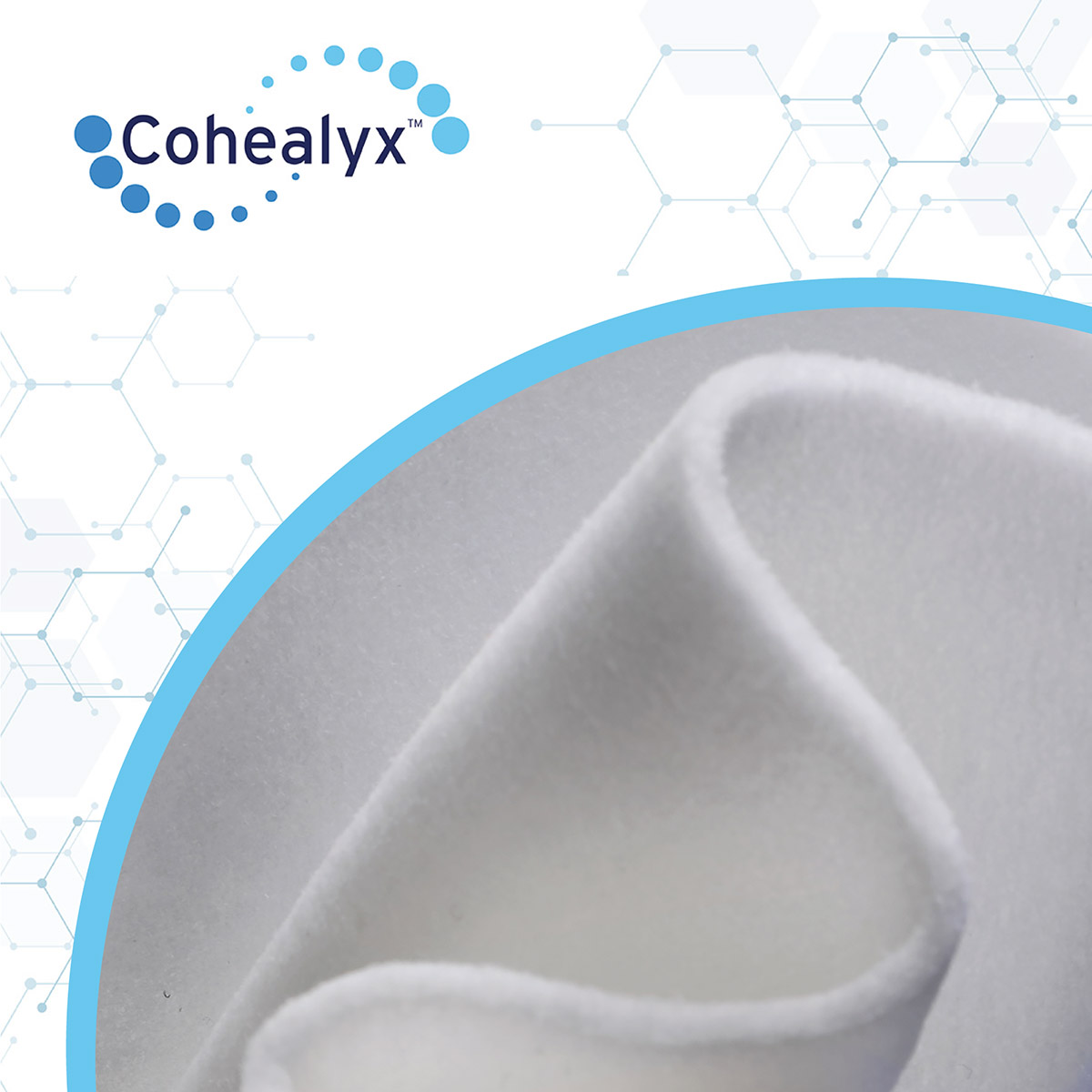AvitaMedical's tweet photo. Cohealyx™ is a new dermal matrix created to advance wound bed vascularization and readiness for definitive closure.

Learn more about Cohealyx today >> https://t.co/Go7Nn2xyXV https://t.co/JHjrvPP68Y