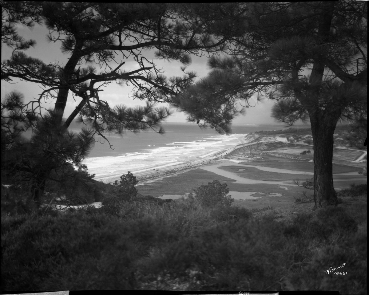 Happy Earth Day from the San Diego History Center! 🌎
From deserts to coastlines, our landscapes inspire a deep connection to nature. Explore how San Diegans have celebrated and protected our environment over the decades.

📸 Borrego Springs, 1961
📸 Torrey Pines, 1933