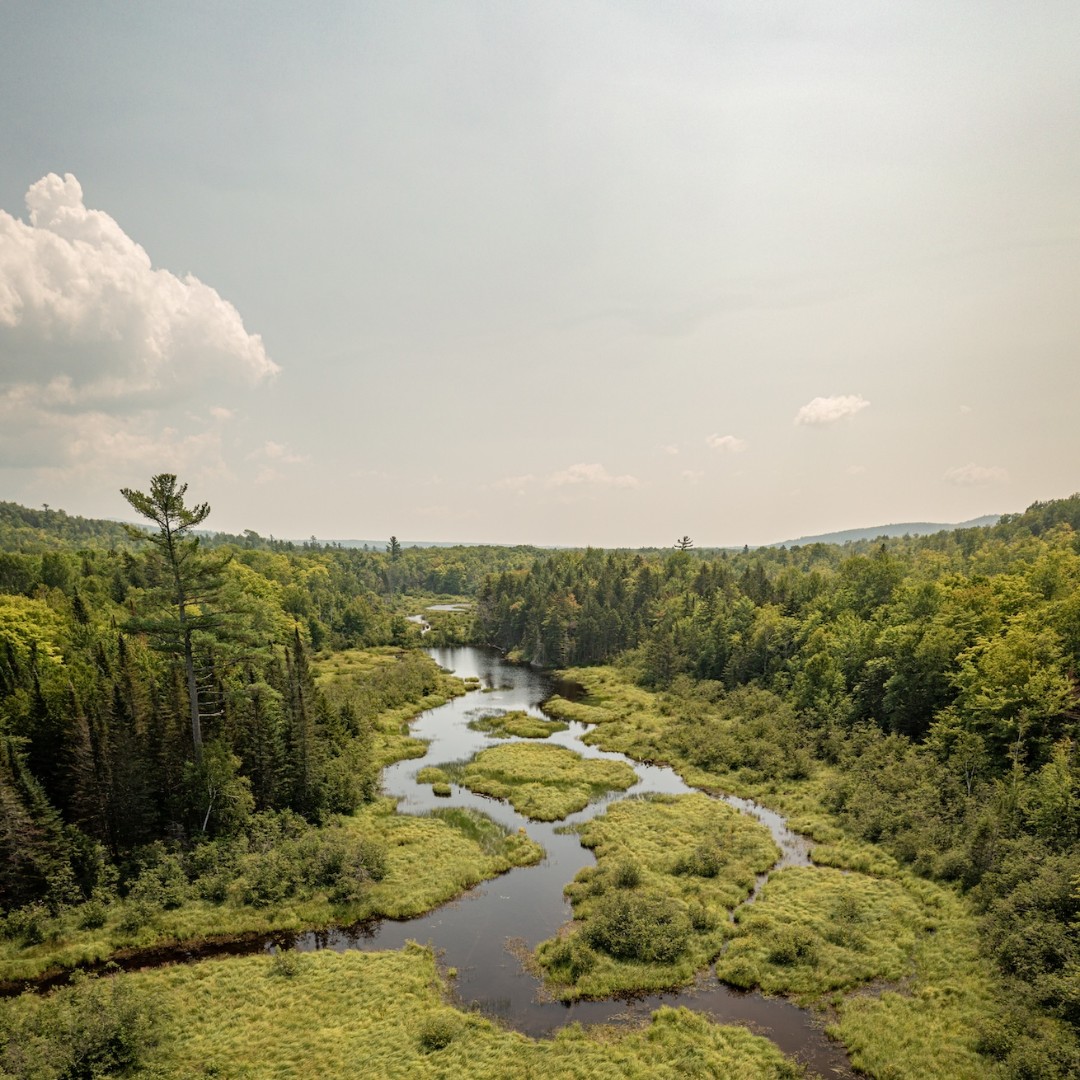 Today we celebrate the forests that calm us, the mountains that challenge us, and the wild places we work hard to protect—all 365 days a year. #happyearthday 🌎💚