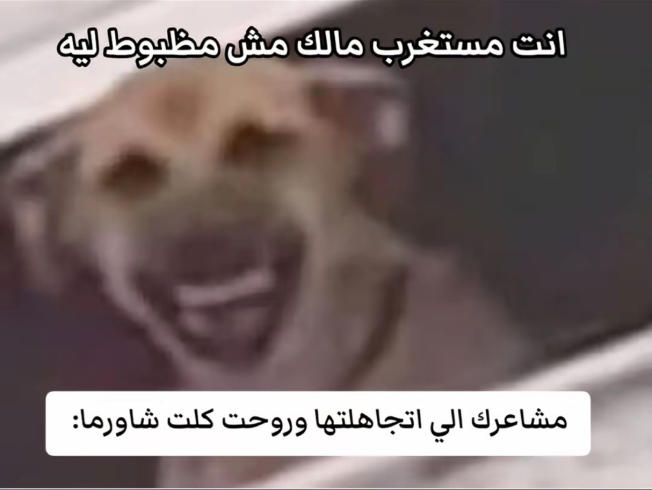 ʚଓ (@salmama_212) on Twitter photo 