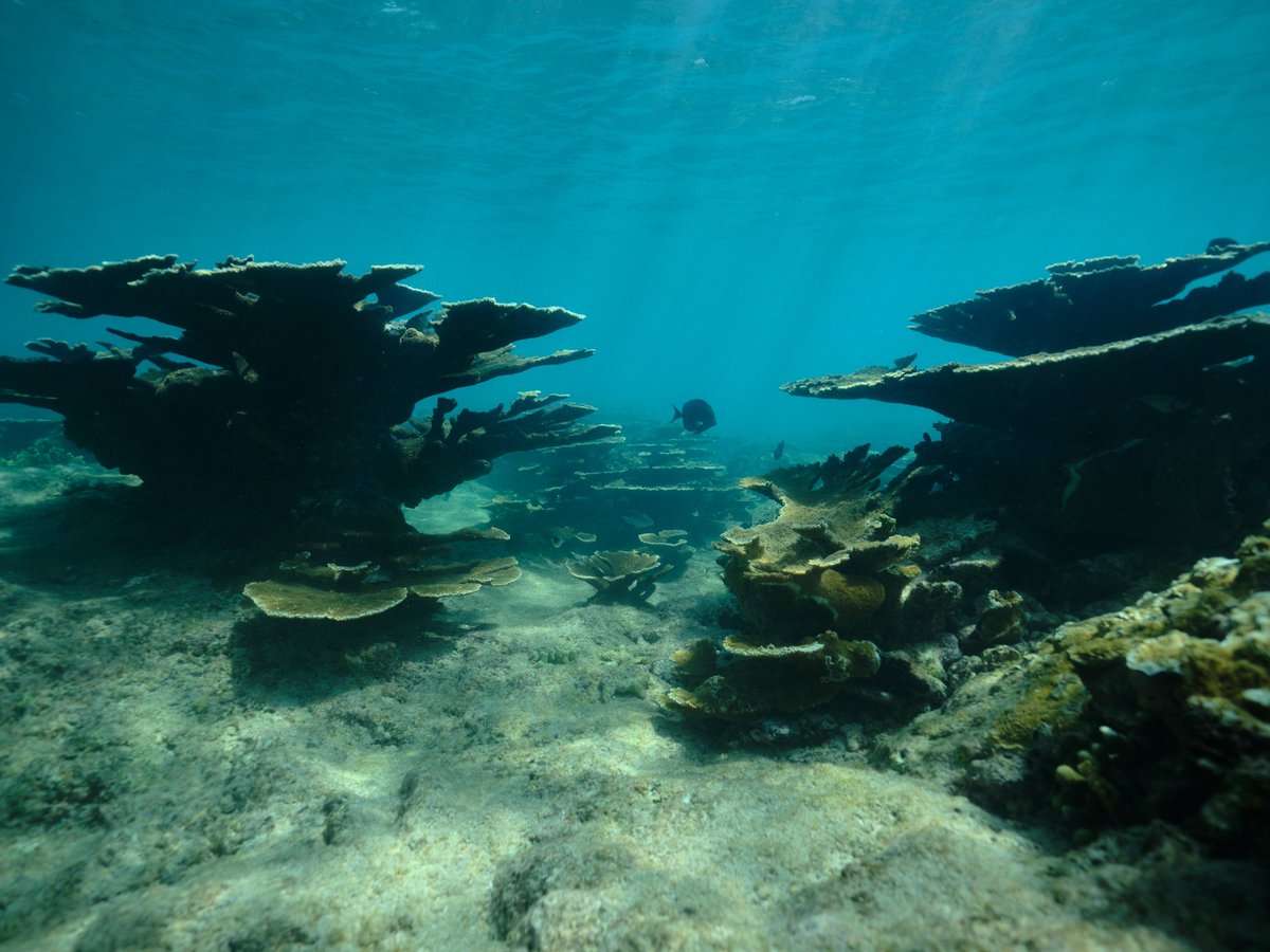 Happy Earth Day Fujifilm fam 🌎 Thank you to everyone who is documenting nature and reminding us how beautiful our planet is ❤️

📷 Ryan Thrower, <a href="/KatieOrlinsky/">Katie Orlinsky</a>, Michael Clark, Nick Lavecchia