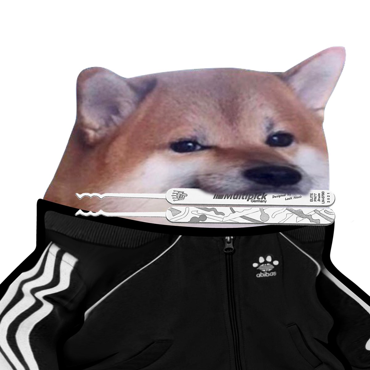 fellarequests's tweet image. There are no stock images we are not prepared to requisition in the name of creating pixel-based, highly-caffeinated, dog-shaped violence 🫡