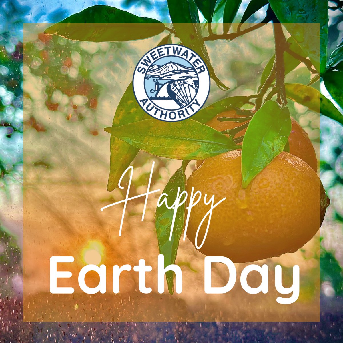 Happy Earth Day! 🌎 Water is life—let’s protect it. Conserve every drop, care for our rivers, lakes, and oceans, and build a sustainable future together. 

"Rainy Orange" by Abraham Franco , Hilltop High School