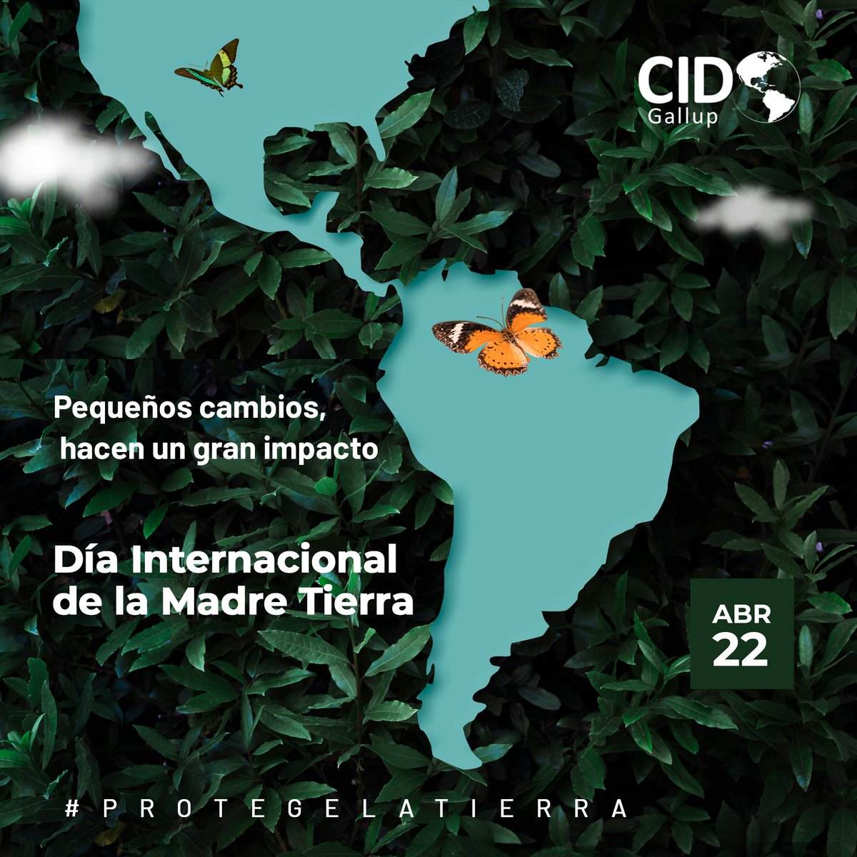 cidgallup's tweet image. La tierra es nuestro hogar y todos tenemos el compromiso de protegerla. ¿Y tú cómo la cuidas? 🌎 #diadelatierra #cidgallup #cuidaelplaneta #tierra #hazelcambio