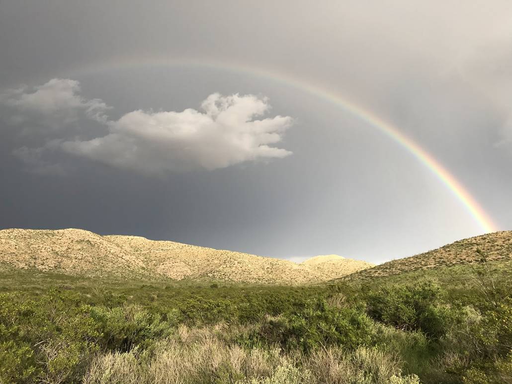 Boomitra tweet media