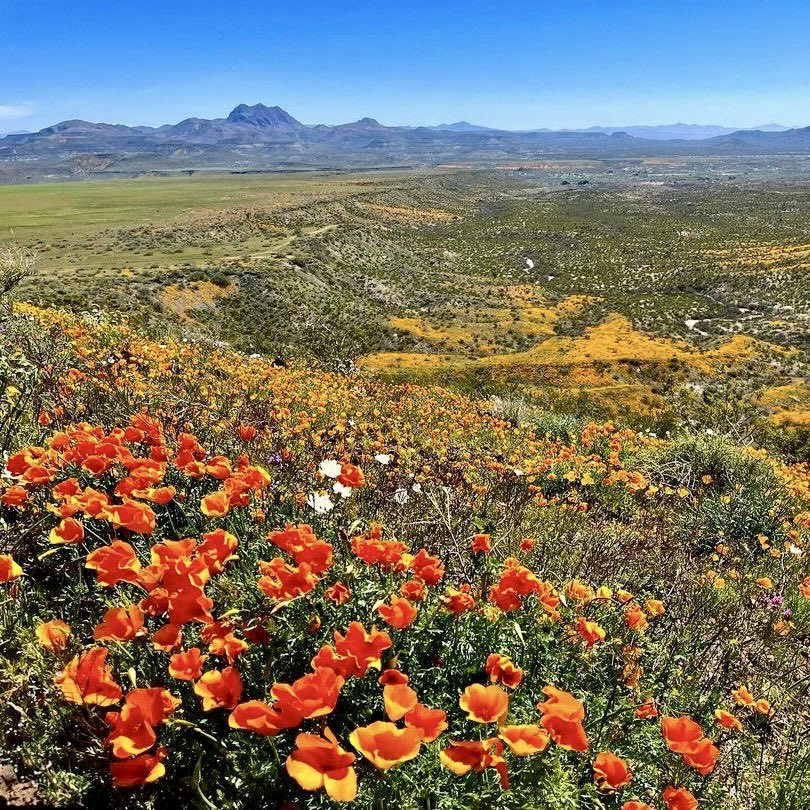Spring in America:

San Carlos Apache Reservation, Arizona