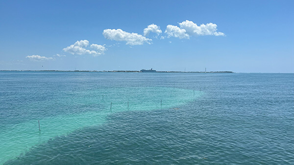 Sanctuaries (NOAA) (@sanctuaries) on Twitter photo #NEWS: This #EarthDay, <a href="/FloridaKeysNMS/">NOAA Florida Keys NMS</a> is overseeing a project to restore a damaged seagrass meadow where a ferry boat ran aground.
All boaters can make an #EarthDay commitment by pledging to keep their boat bottom off the seafloor!
Learn more: sanctuaries.noaa.gov/news/2025/noaa… #NEWS: This #EarthDay, <a href="/FloridaKeysNMS/">NOAA Florida Keys NMS</a> is overseeing a project to restore a damaged seagrass meadow where a ferry boat ran aground.
All boaters can make an #EarthDay commitment by pledging to keep their boat bottom off the seafloor!
Learn more: sanctuaries.noaa.gov/news/2025/noaa…