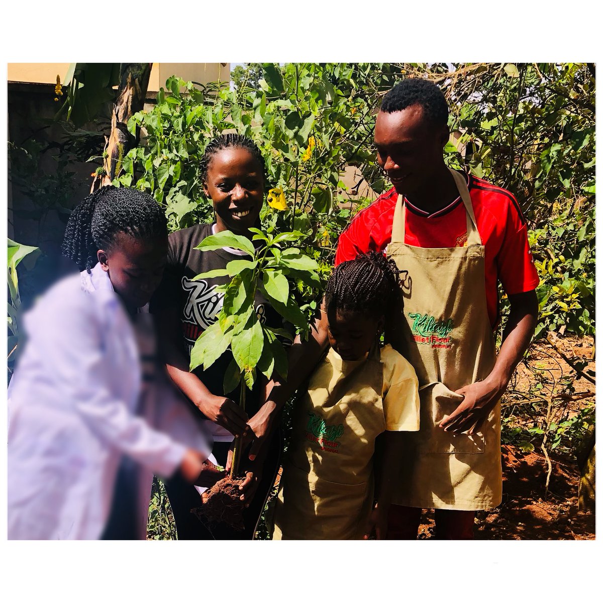 KIKAZI PRODUCTS ๐บ๐ฌ (@kikaziproducts) on Twitter photo Small actions today, a greener tomorrow! Happy Earth Day!
#EarthDay #SustainabilityInAction #SaveThePlanet #GoGreen
#GoMillets #IYM2023 <a href="/IYM2023/">International Year Of Millets 2023</a> <a href="/agribdcu/">Agribusiness Development Centre</a> <a href="/USSIAssociation/">Uganda Small Scale Industries Association (USSIA)</a> <a href="/hivecolab/">Hive Colab</a> <a href="/YaltaInitiative/">YALTA Initiative</a> <a href="/pelum_uganda/">PELUM Uganda</a> <a href="/AwanUganda/">Awan_Uganda</a> Small actions today, a greener tomorrow! Happy Earth Day!
#EarthDay #SustainabilityInAction #SaveThePlanet #GoGreen
#GoMillets #IYM2023 <a href="/IYM2023/">International Year Of Millets 2023</a> <a href="/agribdcu/">Agribusiness Development Centre</a> <a href="/USSIAssociation/">Uganda Small Scale Industries Association (USSIA)</a> <a href="/hivecolab/">Hive Colab</a> <a href="/YaltaInitiative/">YALTA Initiative</a> <a href="/pelum_uganda/">PELUM Uganda</a> <a href="/AwanUganda/">Awan_Uganda</a>