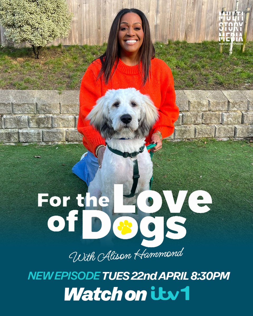 For the Love of Dogs (@itvflod) on Twitter photo 🐶💙New Episode! Alison turns matchmaker as presenter Katie Piper drops into Battersea to check out a litter of puppies, and a homesick Bichon Frise gets a cosy kennel makeover.
For The Love Of Dogs with Alison Hammond is on ITV1, 8:30pm Tonight 🐶💙New Episode! Alison turns matchmaker as presenter Katie Piper drops into Battersea to check out a litter of puppies, and a homesick Bichon Frise gets a cosy kennel makeover.
For The Love Of Dogs with Alison Hammond is on ITV1, 8:30pm Tonight