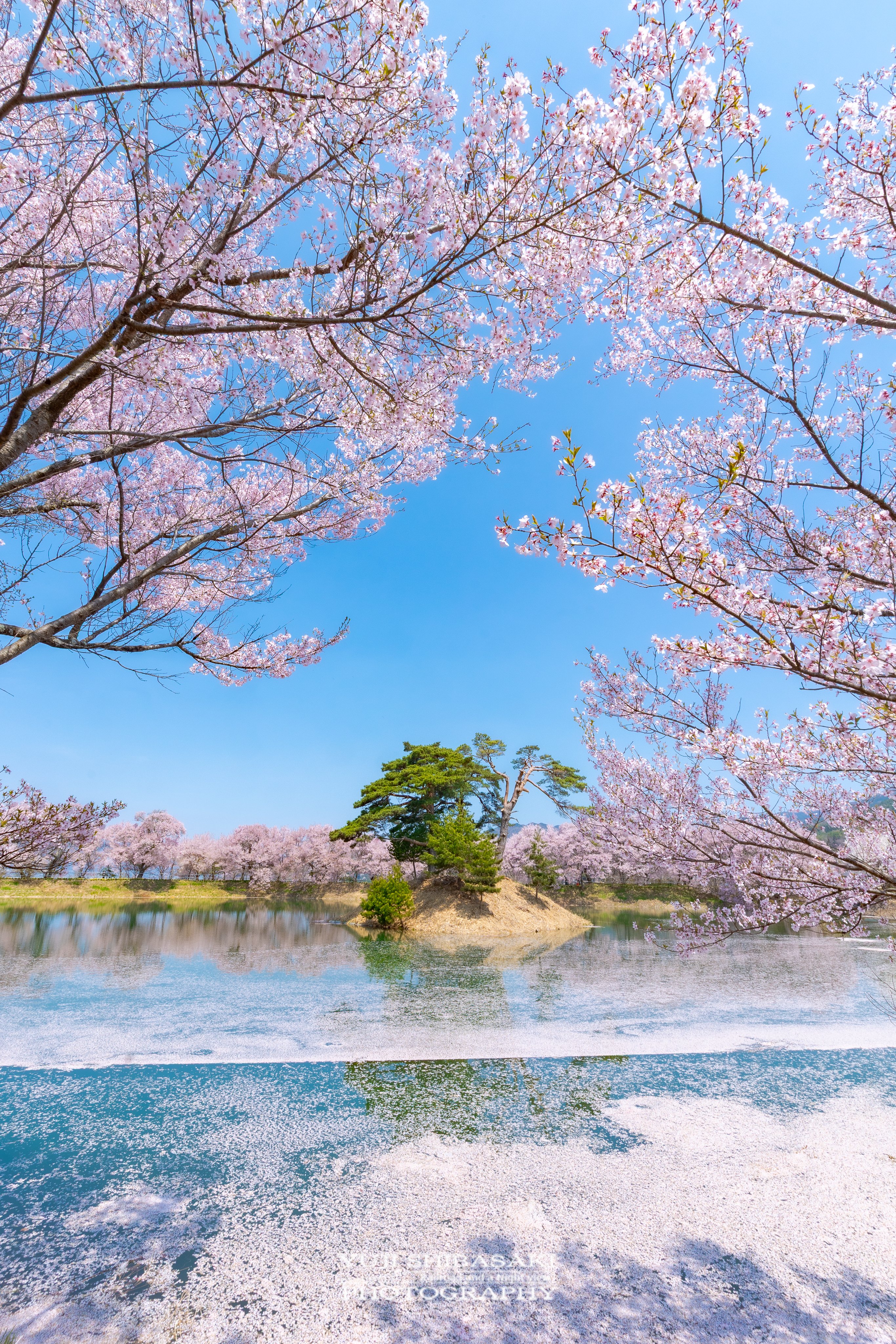 Yuji Shibasaki@Photo on X: Yuji Shibasaki@Photo on X:
