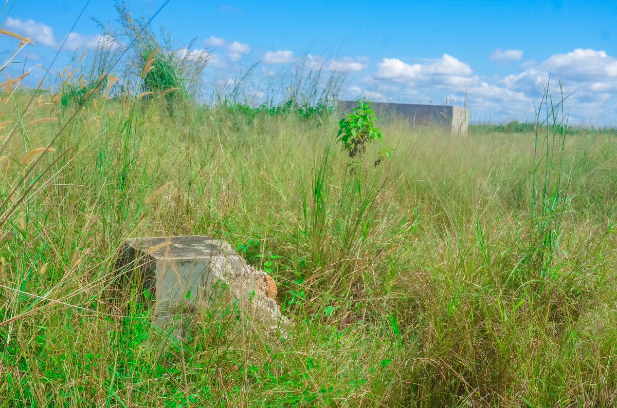 MJPE-Rdc (@mjperdc) on Twitter photo Mr. President <a href="/fatshi13_/">Félix A. Tshisekedi</a> this is what the 2020 Kinshasa Solar City foundation stone looks like today.
Meanwhile, communities remain in the dark.
We need energy , clean, accessible, and sustainable.
It’s time to act.
#EnergyJustice #EarthDay2025 #REPowerAfrika Mr. President <a href="/fatshi13_/">Félix A. Tshisekedi</a> this is what the 2020 Kinshasa Solar City foundation stone looks like today.
Meanwhile, communities remain in the dark.
We need energy , clean, accessible, and sustainable.
It’s time to act.
#EnergyJustice #EarthDay2025 #REPowerAfrika