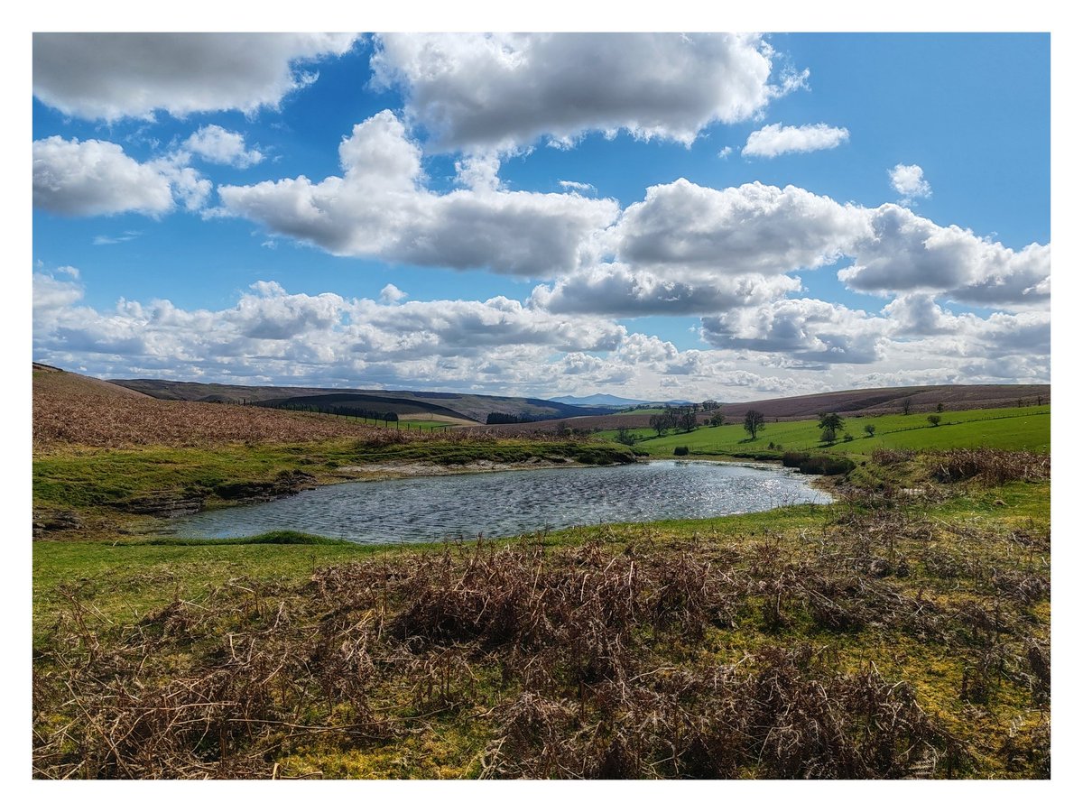 smoggiewalks's tweet image. Wylfre trigpoint SO 11610 52069 #trigpoint #radnorshire #trigpointchallenge #midwales #bordercollie #prescriptionnature @DerekTheWeather @OrdnanceSurvey @MidWalesMyWay