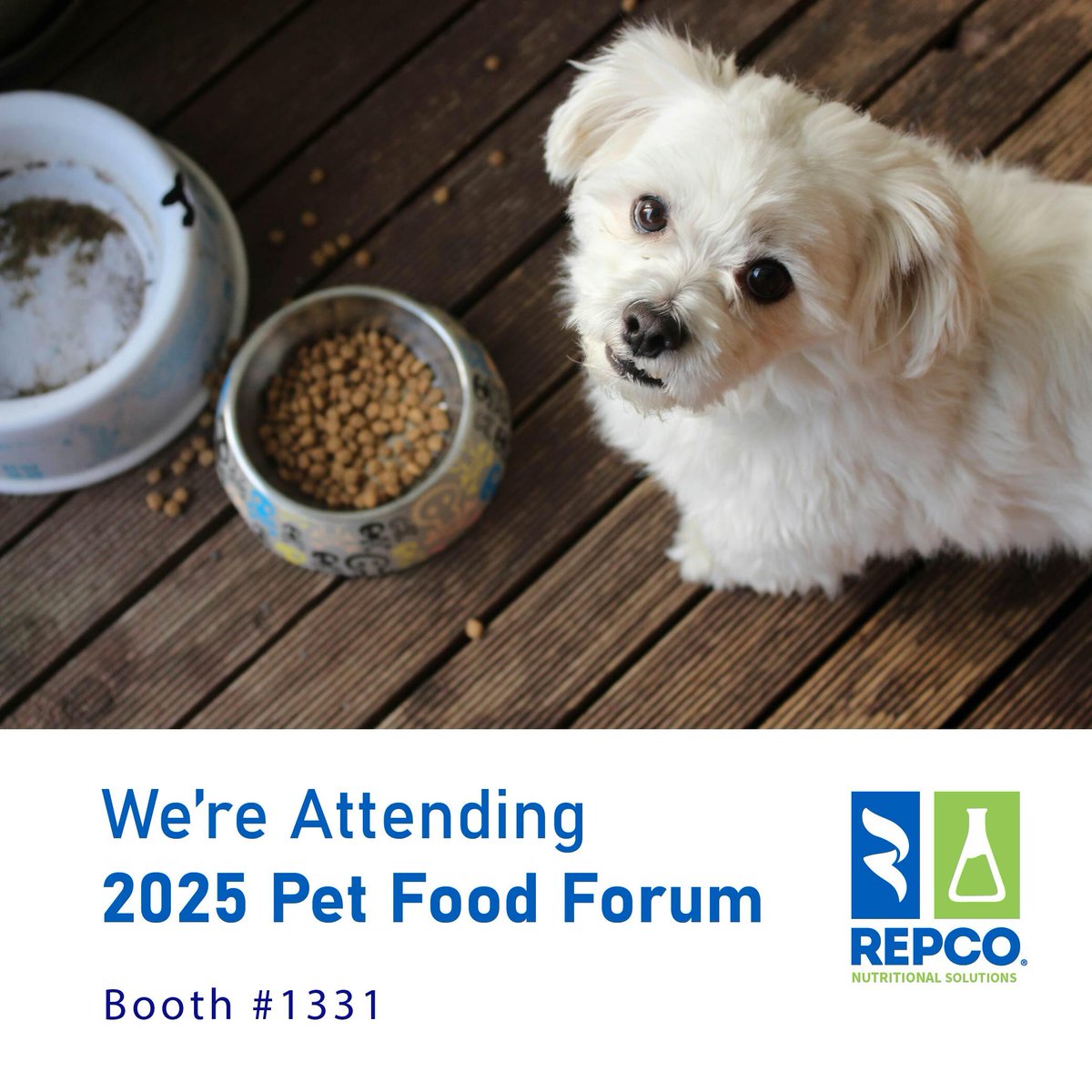 Pet food trends are shifting toward cleaner, higher-quality ingredients—and we’re leading the way. 

Catch us at Pet Food Forum 2025 to discuss how we can support your product development with high-quality, tailored solutions and custom formulation.