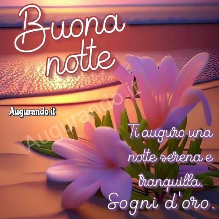 Marianna tweet media