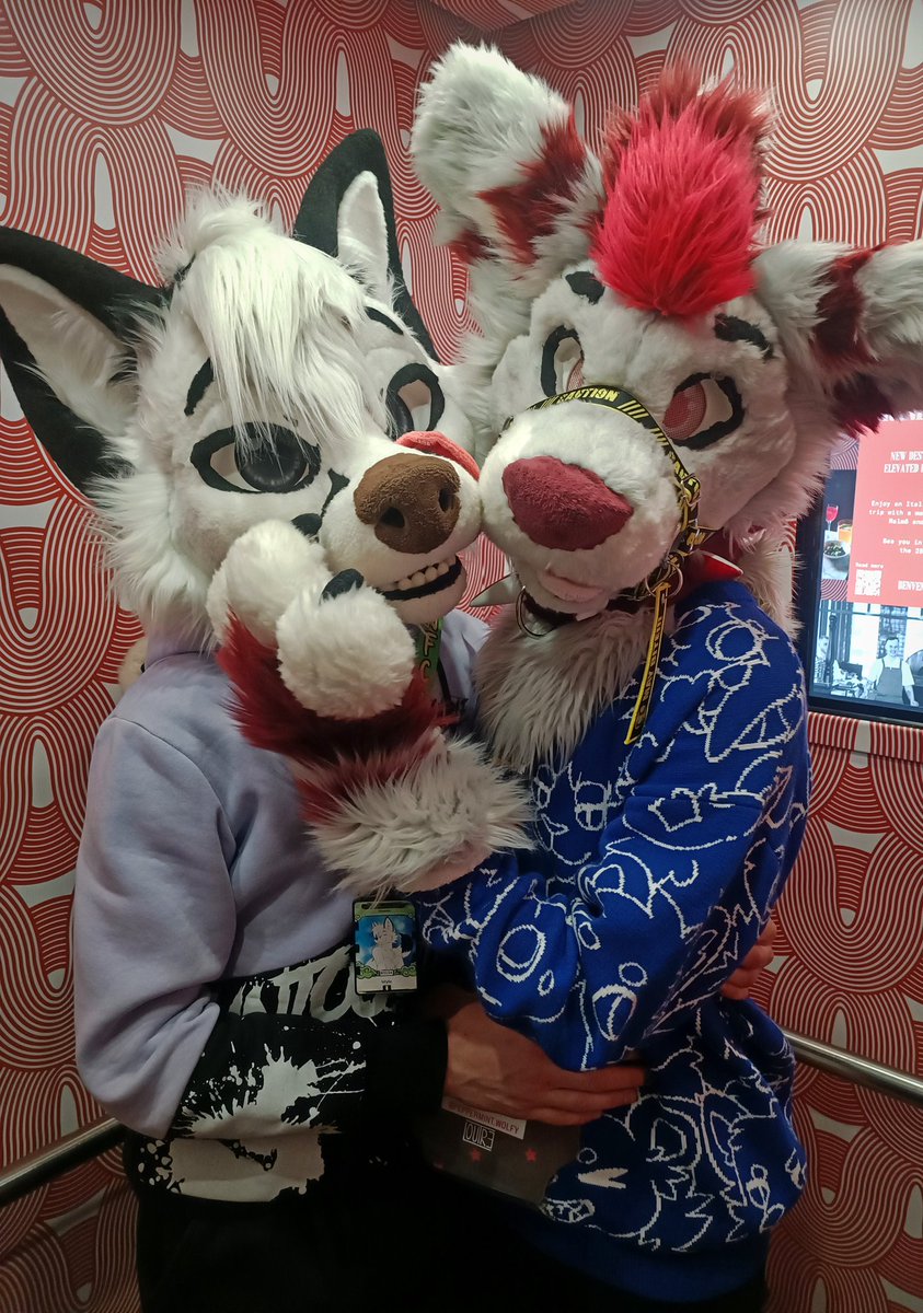Wyle ๐ฎ๐น (@whoyouleastexp_) on Twitter photo Not even an elevator like this can make me take my eyes off this Cutie ๐
๐บ <a href="/PeppermintWolfy/">Peppermint Spice ๐จ๐ต FBL - NFC USA 2026</a>
#furry #furryfandom #fursuit #fursuiter #nfc2025 #cuties Not even an elevator like this can make me take my eyes off this Cutie ๐
๐บ <a href="/PeppermintWolfy/">Peppermint Spice ๐จ๐ต FBL - NFC USA 2026</a>
#furry #furryfandom #fursuit #fursuiter #nfc2025 #cuties