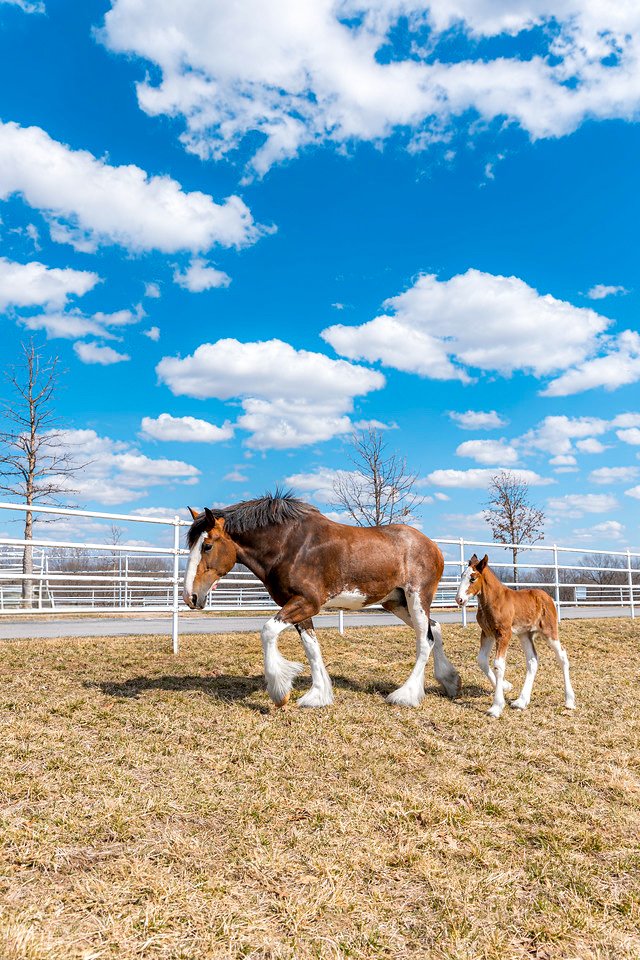It's a beautiful day today, and we'll be spending it outside in the sun! 🌍