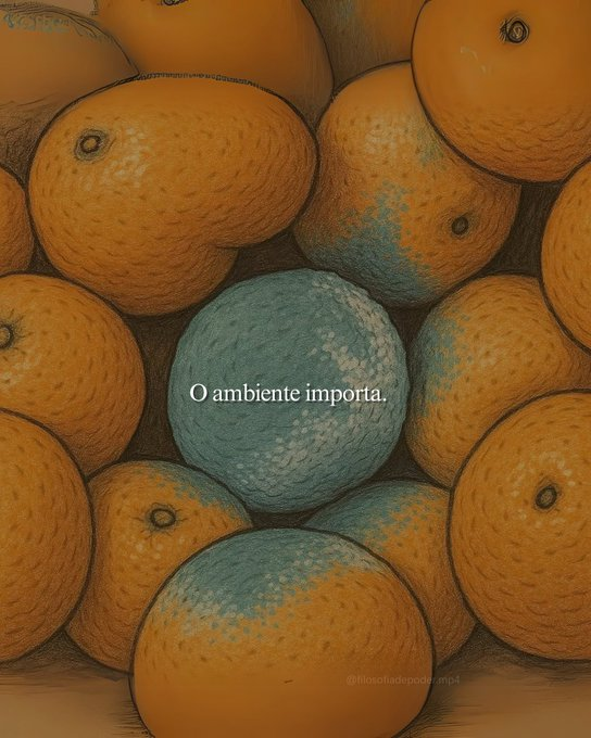 Frases (@umfilosofocitou) on Twitter photo 