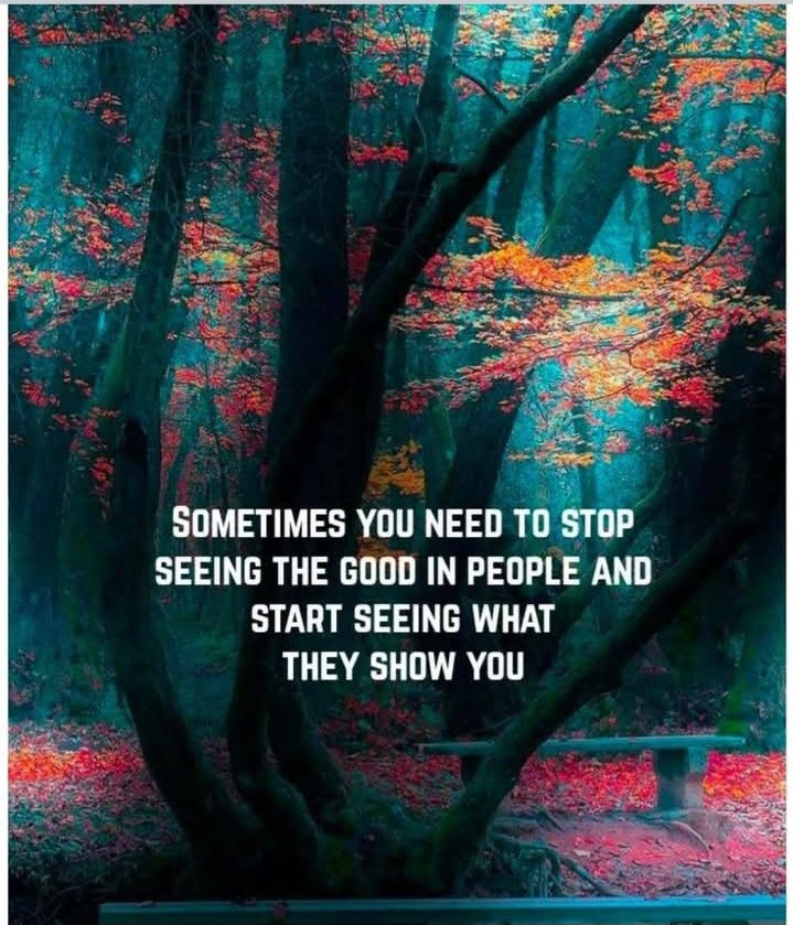 Exactly 💯