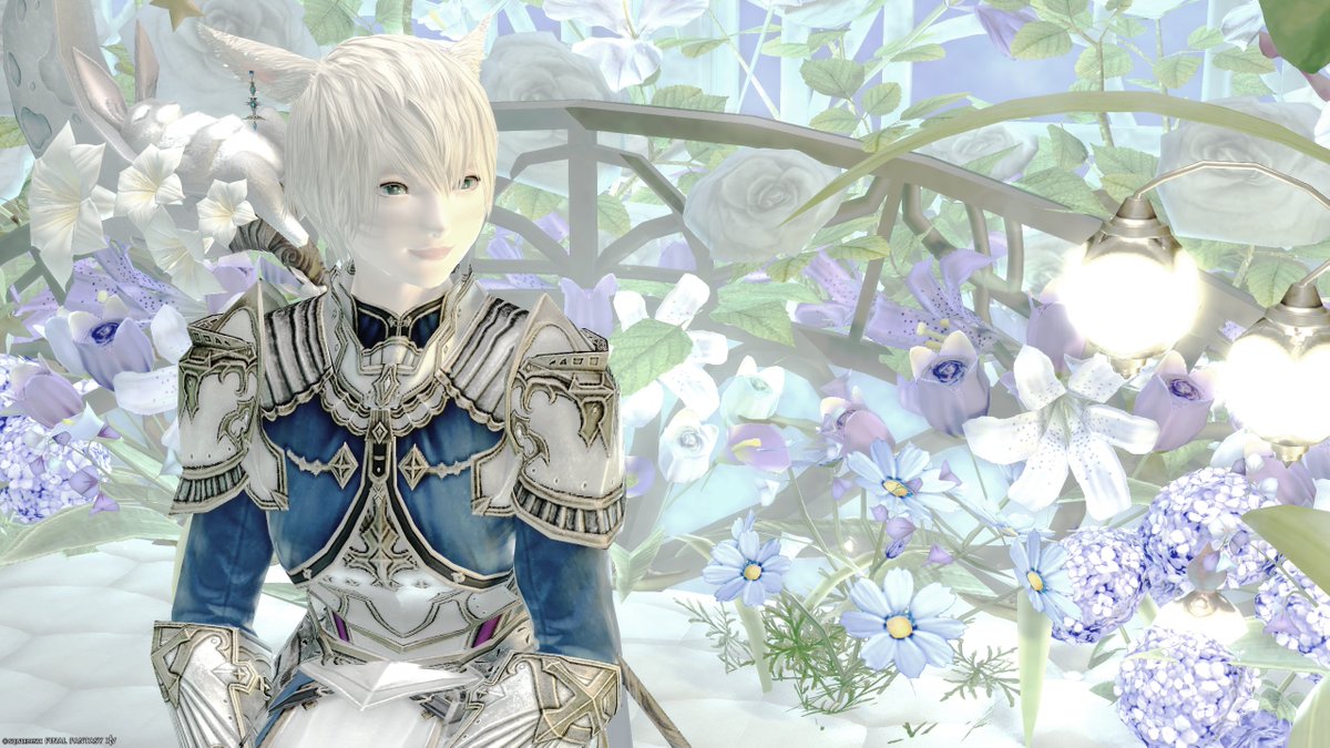 📍location
Elemental DC / Carbuncle
Lavender Beds 26-31

#FF14SS