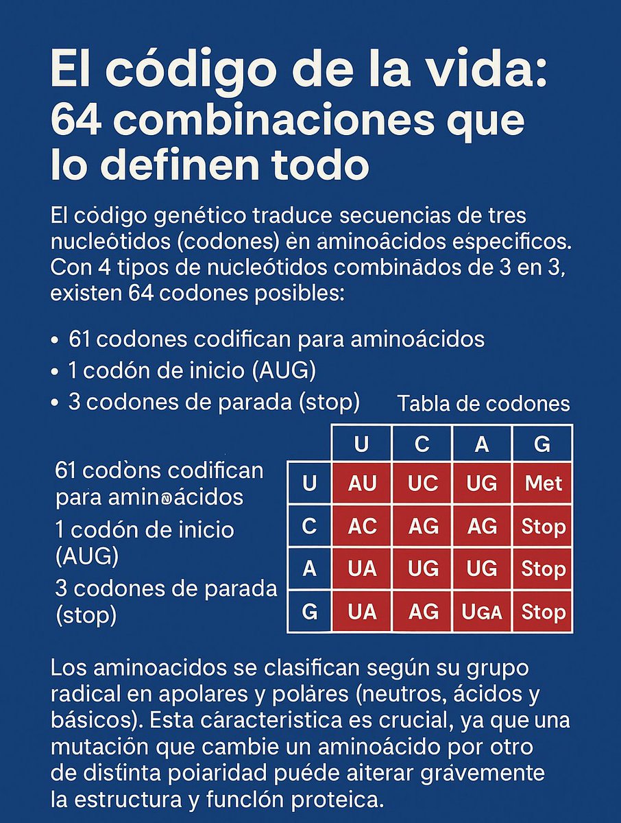 NefroGetafe (@nefrogetafe) on Twitter photo 🎯🎯¿Sabes cómo un simple código de 3 letras determina toda la vida? Conoce cómo funciona este increíble sistema y por qué sus pequeñas variaciones pueden tener grandes consecuencias en la vida.
😳😳✍️<a href="/SENefrologia/">S.E.N. Nefrología</a> <a href="/SOMANEorg/">Sociedad Madrileña de Nefrología (SOMANE)</a> <a href="/BGFOURNIER/">Belén Gil Fournier</a> #Nefrogenética #HospitaldeGetafe 🎯🎯¿Sabes cómo un simple código de 3 letras determina toda la vida? Conoce cómo funciona este increíble sistema y por qué sus pequeñas variaciones pueden tener grandes consecuencias en la vida.
😳😳✍️<a href="/SENefrologia/">S.E.N. Nefrología</a> <a href="/SOMANEorg/">Sociedad Madrileña de Nefrología (SOMANE)</a> <a href="/BGFOURNIER/">Belén Gil Fournier</a> #Nefrogenética #HospitaldeGetafe