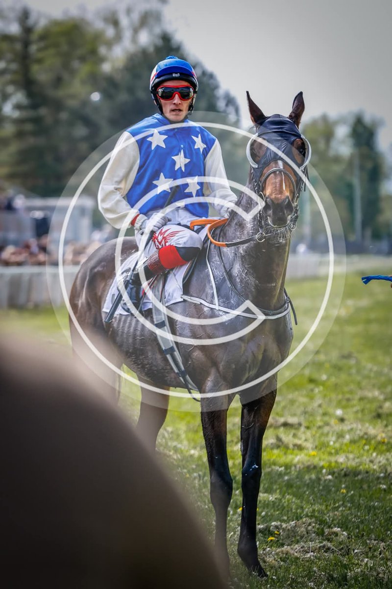 Davet üzerine Macaristan ve Hırvatistan'da bu hafta koşulara katıldım.
Bununla birlikte yarış bindiğim ülke sayısı 10 a yükseldi 🫡

Türkiye,Almanya,Macaristan,Hırvatistan,Sırbistan,Bosna Hersek,Katar,Kuveyt,Bahreyn,Libya.