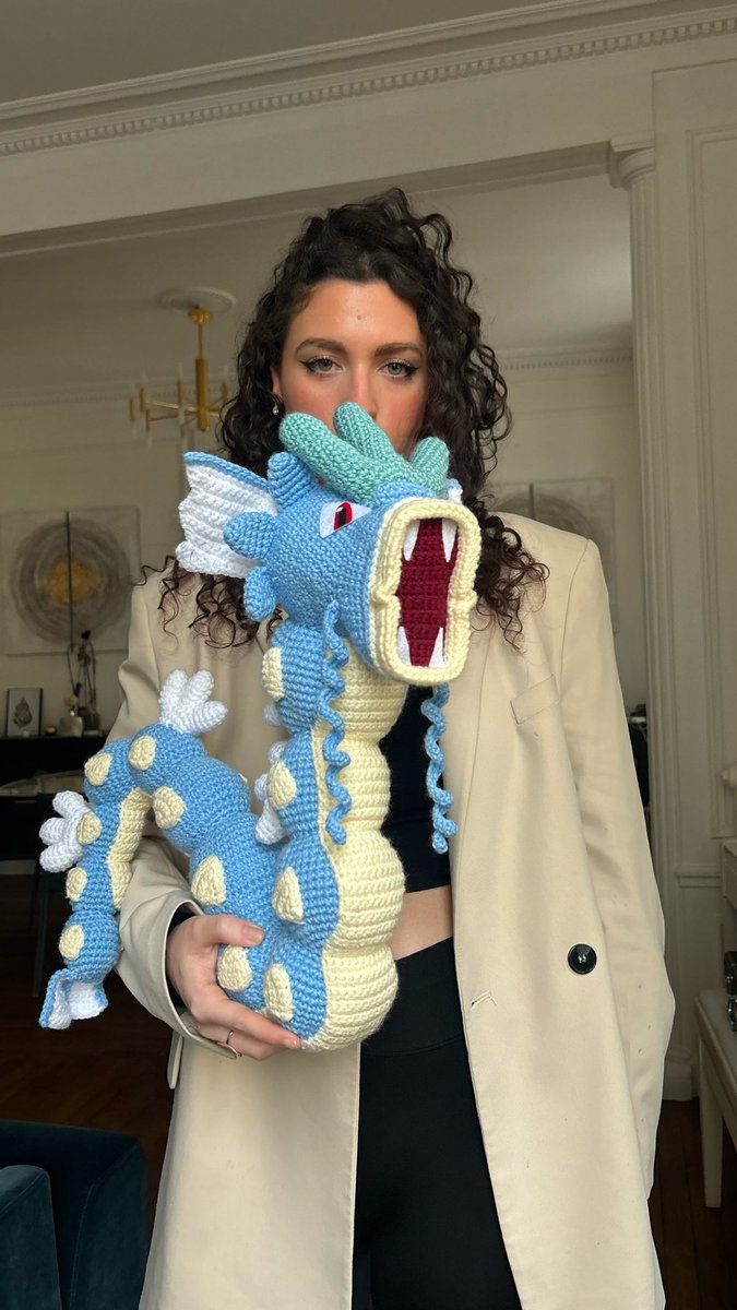 LowkeyyPianist's tweet image. j’ai fait une peluche Léviator au crochet regardez le colosse