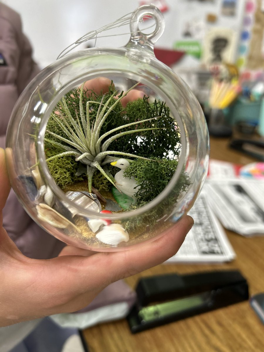 Third grade celebrating Earth Day in many ways today! Cleaning up campus, learning about plants, and making a terrarium! <a href="/Walnut_Acres/">Walnut Acres Elem.</a> <a href="/MtDiabloUSD/">MDUSD</a> #earthday 🌍